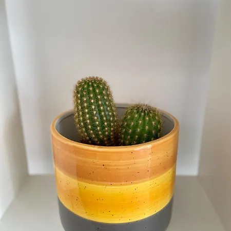 Terrazza Vista Mare E Box Auto شقة غالّيبولي